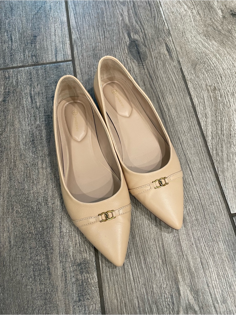 Gianni Bini Beige Pointed-Toe Flats with Gold Accent